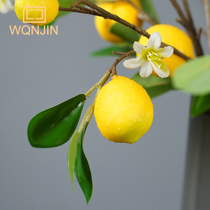 Lemon Branches With Fruit Simu - огляд і ціна Desk Setup Photo